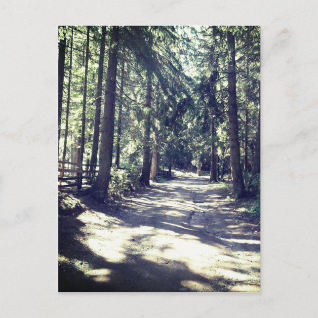 Cartão Postal Um Caminho Através da Floresta (Frente)