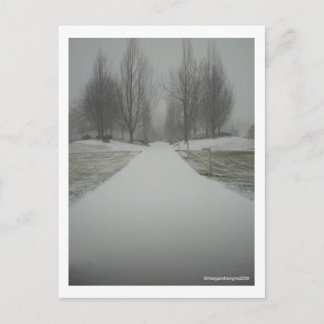 Cartão Postal Um caminho de inverno....