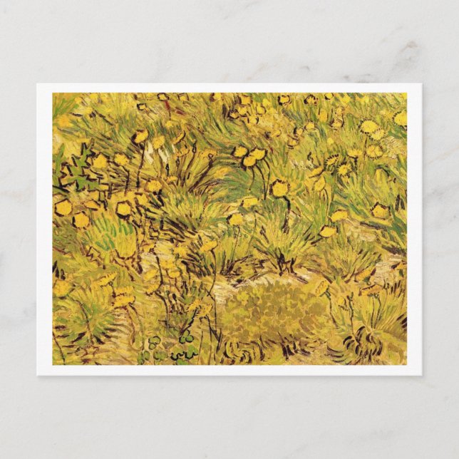 Cartão Postal Um Campo de Flores Amarelas, Vincent van Gogh (Frente)