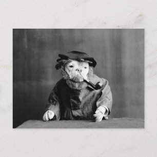 Cartão Postal Um Cão Do Mar Antigo: 1905