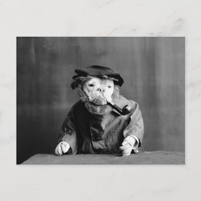 Cartão Postal Um Cão Do Mar Antigo: 1905 (Frente)
