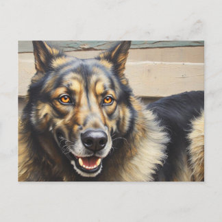 Cartão Postal Um cão doméstico olha confiantemente para a câmera