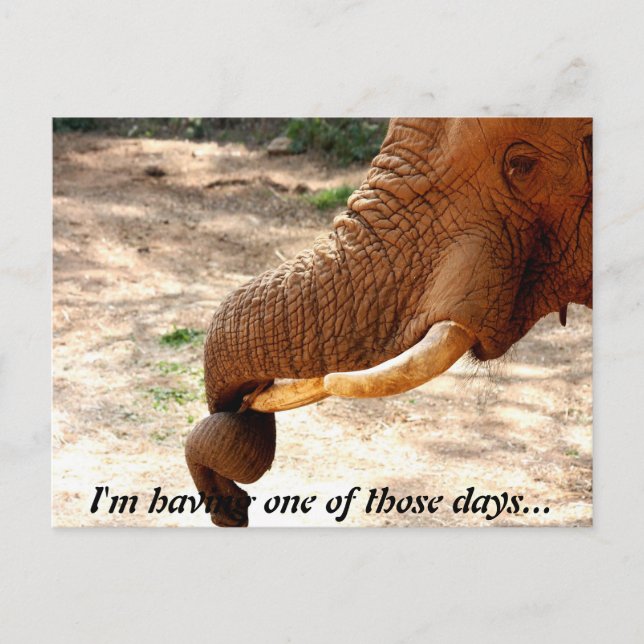 Cartão Postal Um cartão-postal com torção (Frente)