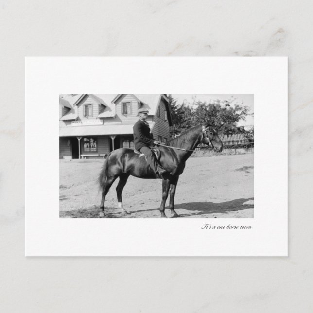 Cartão Postal um cavalo (Frente)