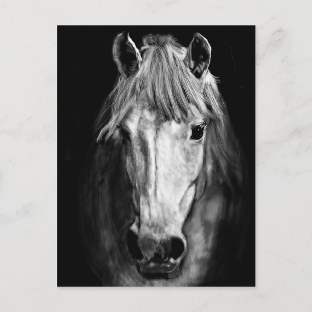 Cartão Postal Um cavalo chamado Elvis (Frente)