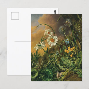 Cartão Postal Um Chão Florestal com Margaridas, Primaveras, ...