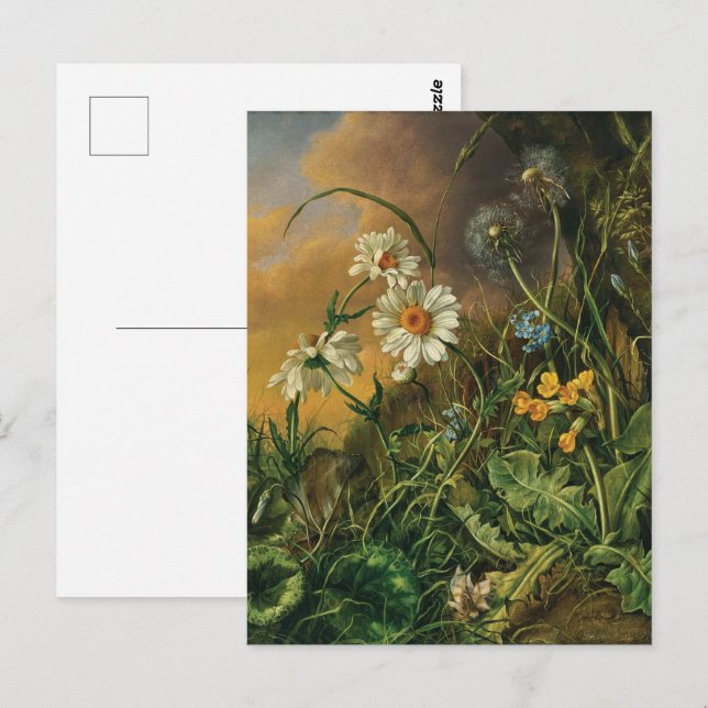 Cartão Postal Um Chão Florestal com Margaridas, Primaveras, ... (Frente/Verso)
