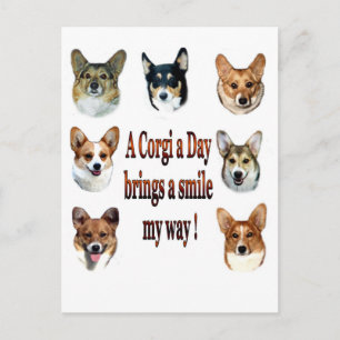 Cartão Postal Um Corgi um o dia traz um sorriso 7