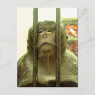 Cartão Postal Um desses dias....