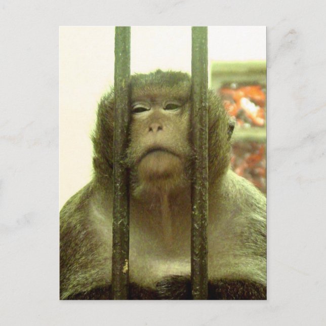 Cartão Postal Um desses dias.... (Frente)