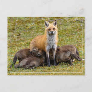 Cartão Postal Um dia de Mãe