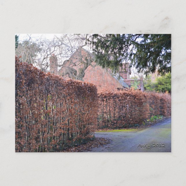Cartão Postal Um Dia de outono (Frente)