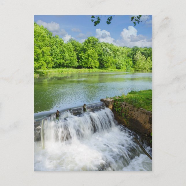 Cartão Postal Um Dia em Ritter Springs (Frente)