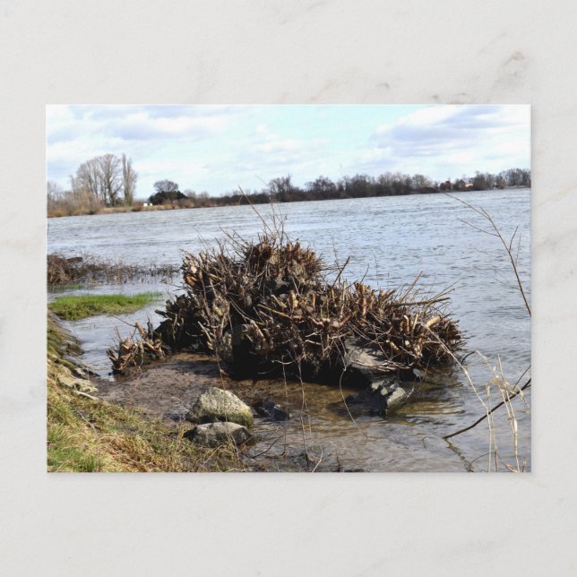 Cartão Postal Um Dia Ensolarado no Rio (Frente)