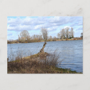 Cartão Postal Um dia ensolarado no rio