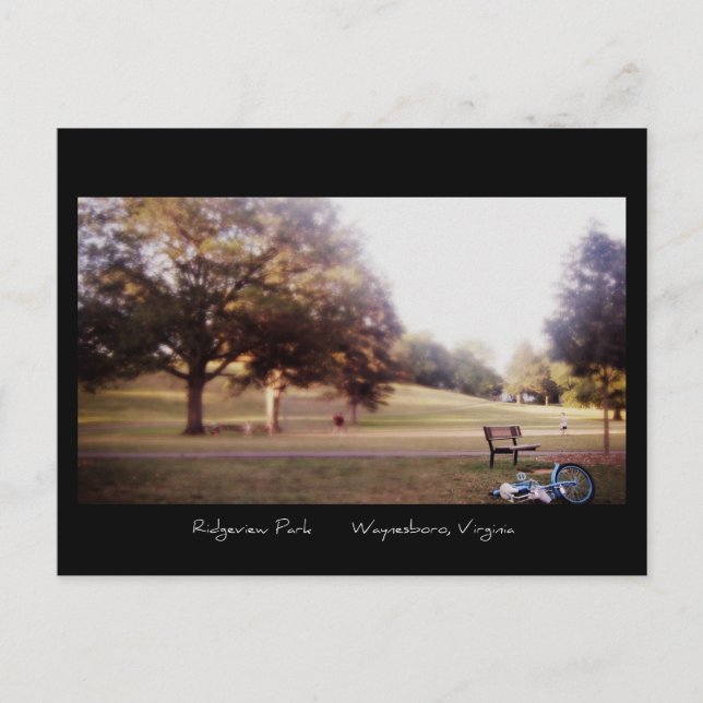 Cartão Postal Um dia no parque - Cartão-postal (Frente)