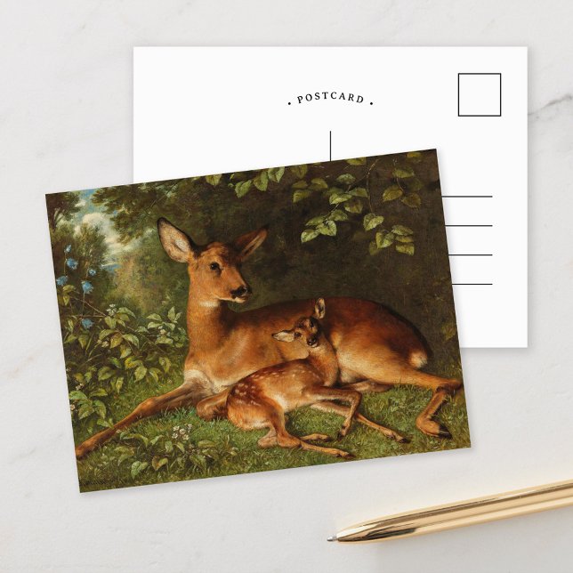 Cartão Postal Um Doe com Fawn | Carl Schweninger Jr. (Criador carregado)
