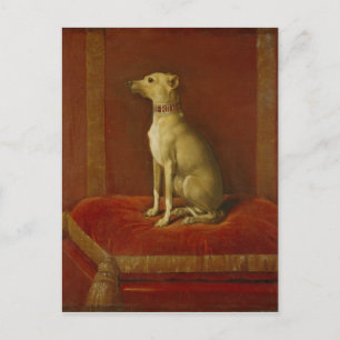 Cartão Postal Um dos galgos italianos de Frederick II