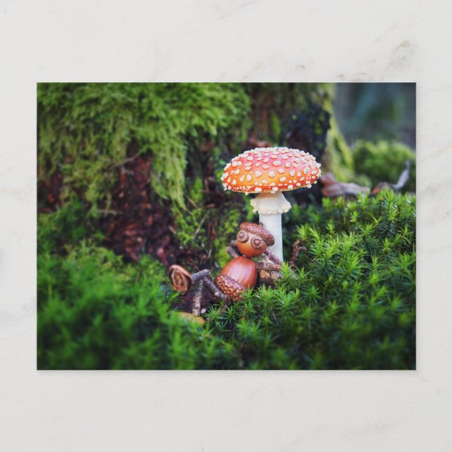 Cartão Postal Um elfo de bolota está descansando sob um cogumelo (Frente)