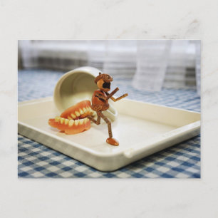 Cartão Postal Um elfo de bolota foge de um conjunto de dentes fa
