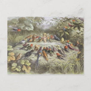 Cartão Postal Um ensaio em terra de fadas, ilustração de "Em F