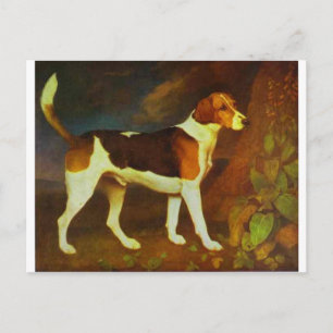 Cartão Postal Um Foxhound, Ringwod de George Stubbs