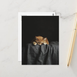 Cartão Postal Um Gatinho Laranja Adormecido Fofo em preto