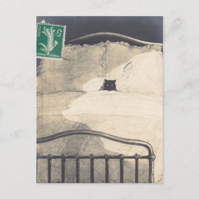 Cartão Postal Um Gatinho Louco! (Frente)