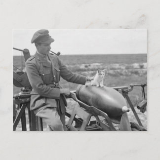 Cartão Postal Um Gatinho na Guerra