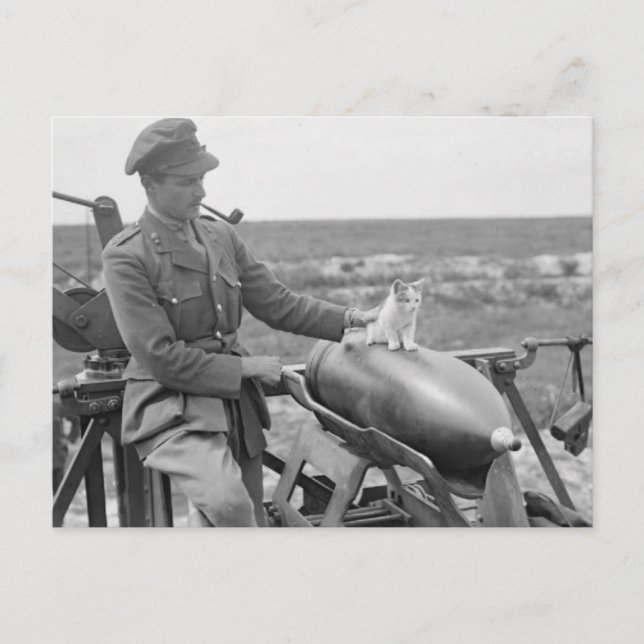 Cartão Postal Um Gatinho na Guerra (Frente)