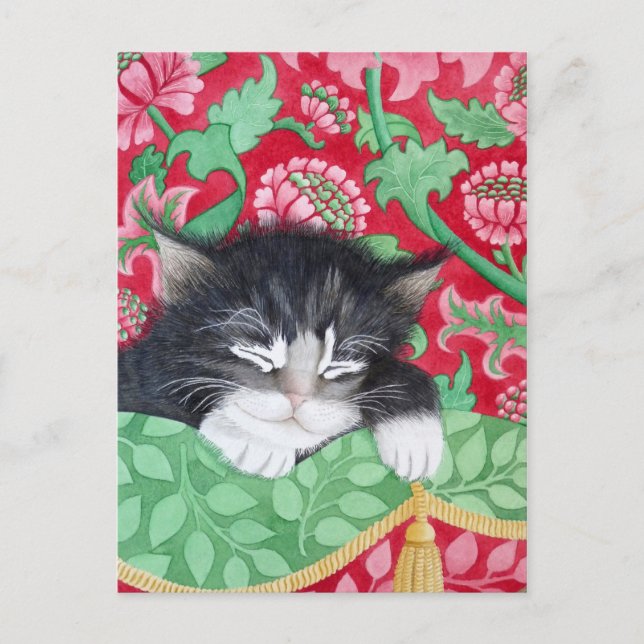 Cartão Postal Um gato confortável! (Frente)