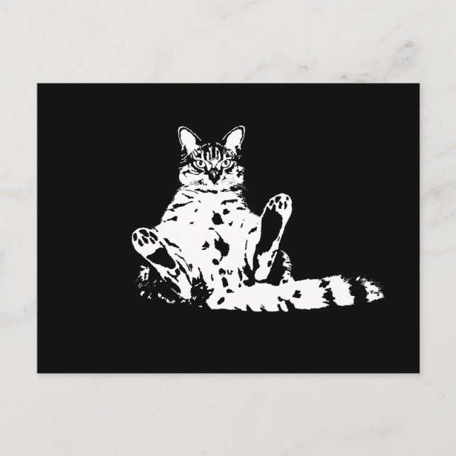 Cartão Postal Um Gato Engraçado e Engraçado com Atitude (Frente)
