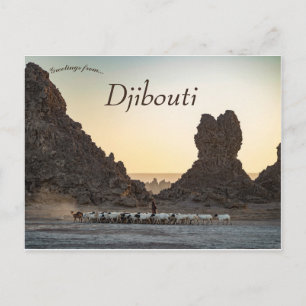 Cartão Postal Um Homem de Cabra no Lac Abbe Djibouti