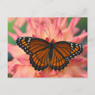 Cartão Postal Um Imitador da Borboleta Monarca
