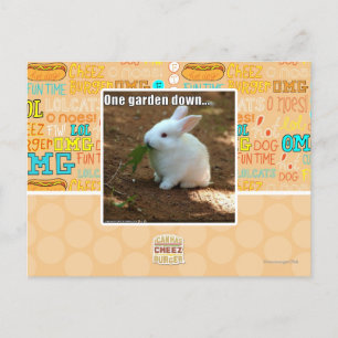 Cartão Postal Um jardim Down�