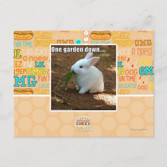 Cartão Postal Um jardim Down� (Frente)