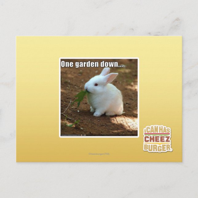 Cartão Postal Um Jardim para Baixo � (Frente)
