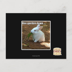 Cartão Postal Um Jardim para Baixo �
