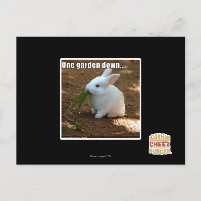Cartão Postal Um Jardim para Baixo � (Frente)