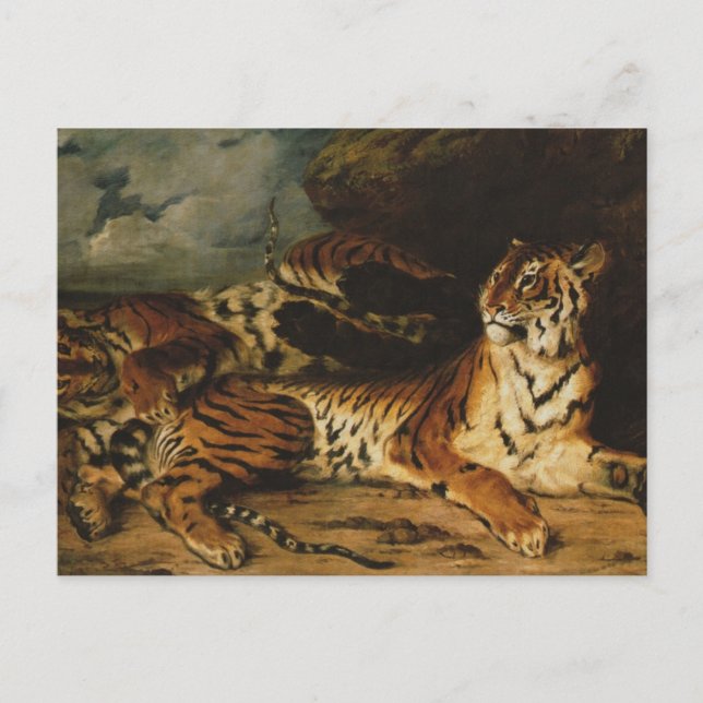 Cartão Postal Um jovem Tigre Brincando com sua Mãe por Delacroix (Frente)