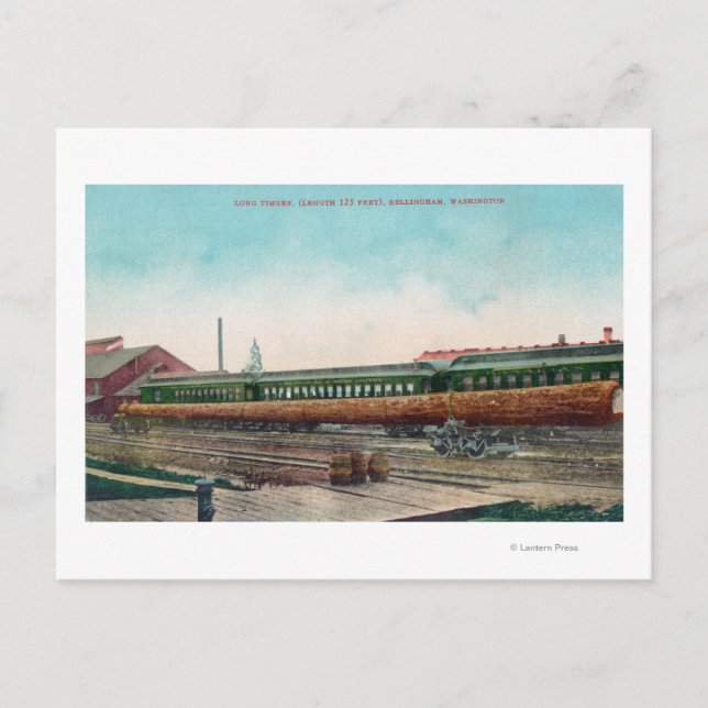 Cartão Postal Um longo registro de árvores nos caminhos de ferro (Frente)