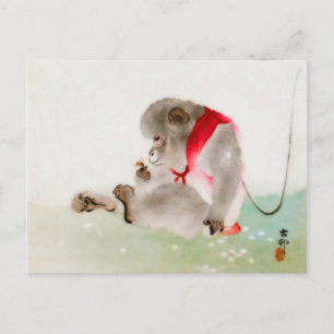 Cartão Postal Um Macaco Sentado Observando Um Inseto