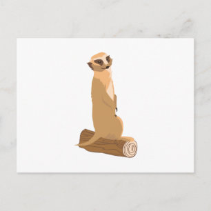 Cartão Postal Um Meerkat