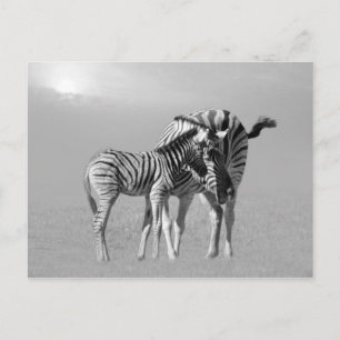 Cartão Postal Um momento delicado entre mãe e bebê