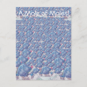 Cartão Postal Um monte de desenhos moles Avogadro Constant