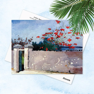 Cartão Postal Um Muro Nassau Winslow Homer