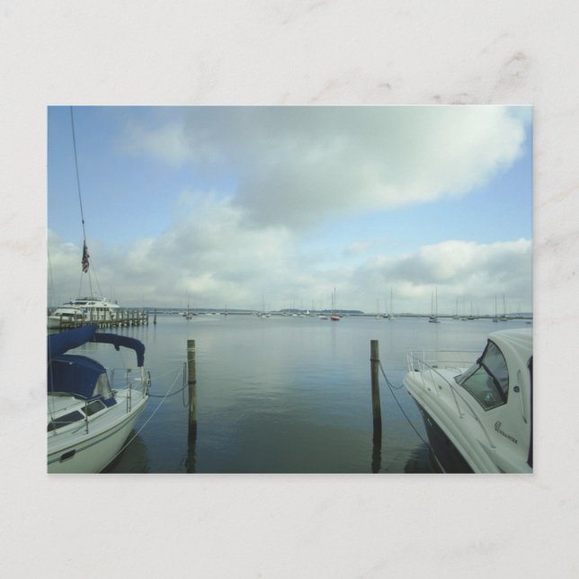 Cartão Postal Um olhar dentro do porto (Frente)