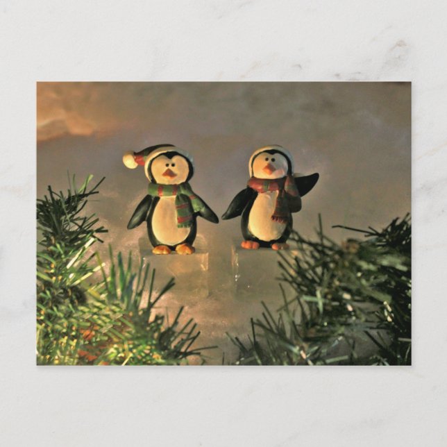 Cartão Postal Um par de pinguins (Frente)