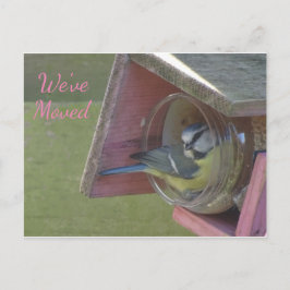 Cartão Postal Um Pássaro Colorido Bonito Que Mudamos Cartaz