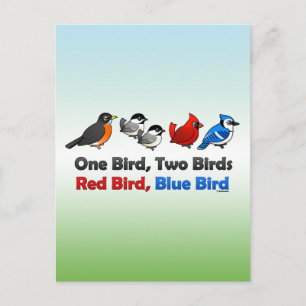 Cartão Postal Um Pássaro, Dois Pássaros...